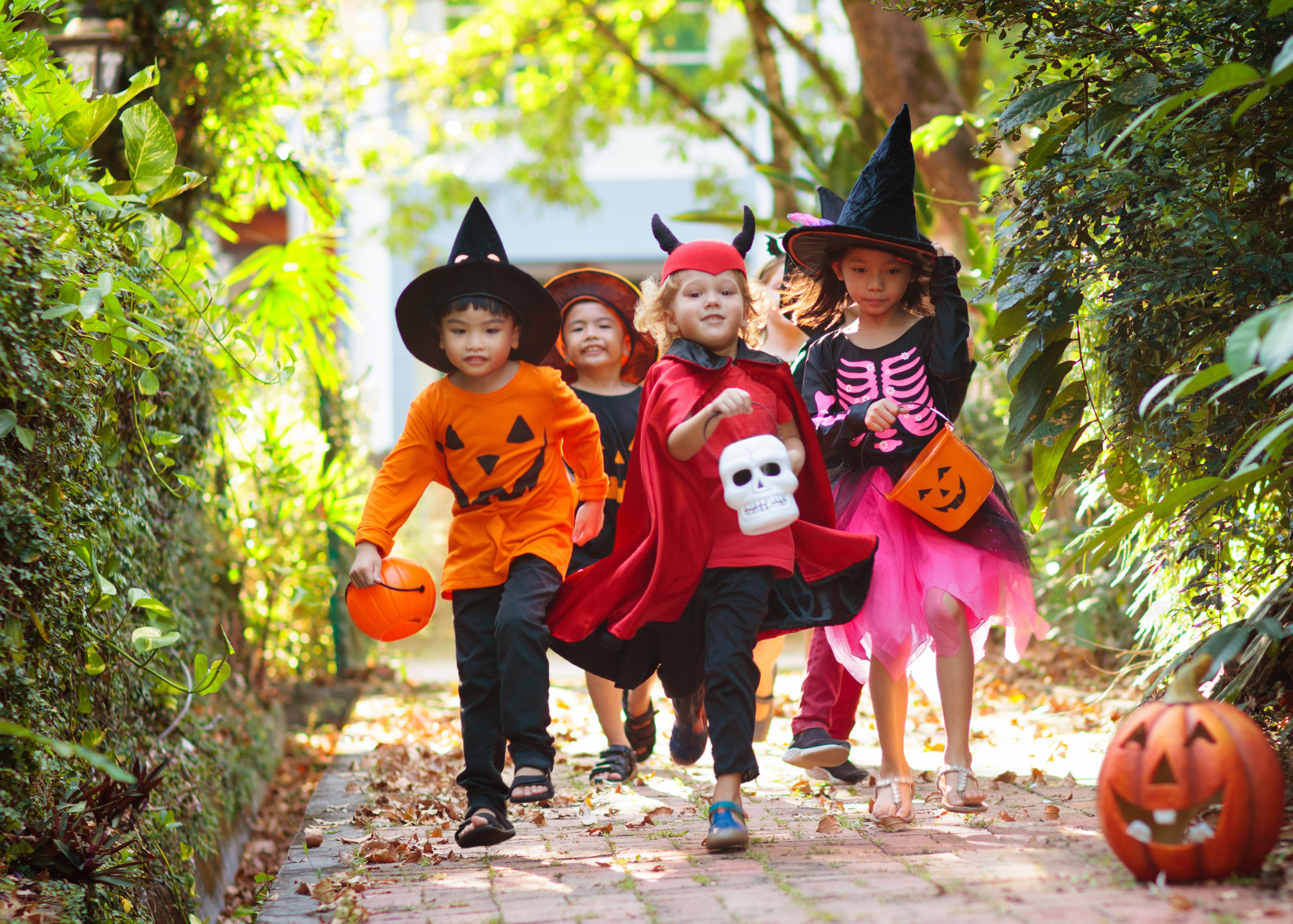 Halloween-byttebiks