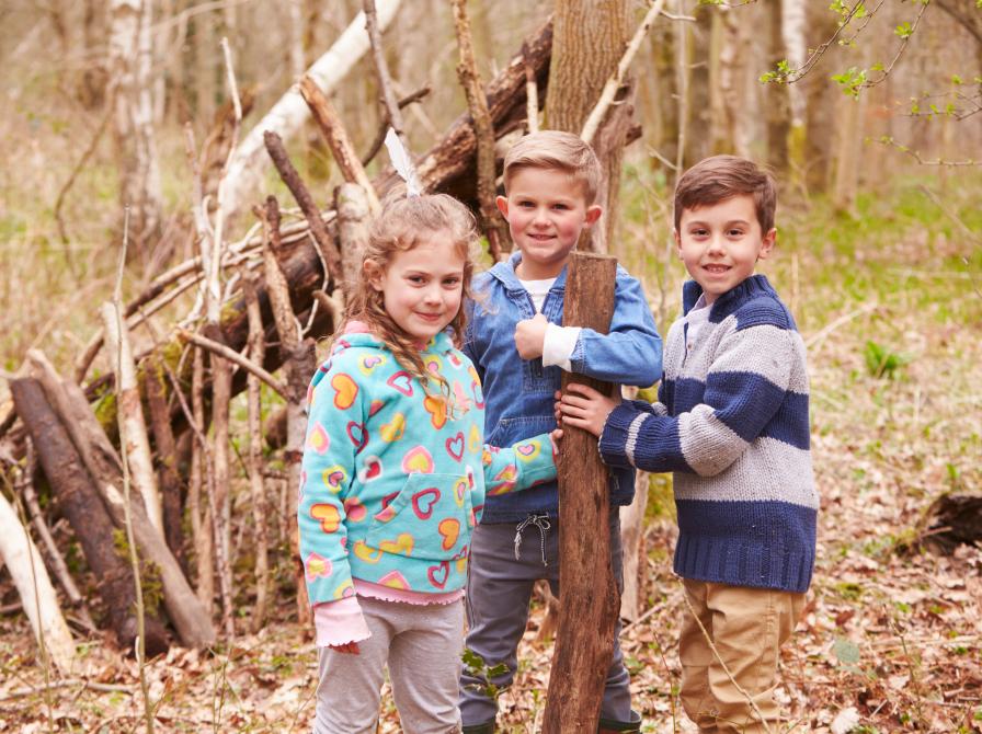 Hulebygning i skoven